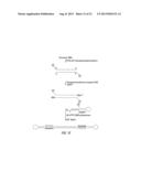 CLOSED NUCLEIC ACID STRUCTURES diagram and image