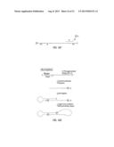 CLOSED NUCLEIC ACID STRUCTURES diagram and image