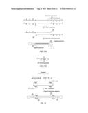 CLOSED NUCLEIC ACID STRUCTURES diagram and image