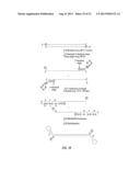 CLOSED NUCLEIC ACID STRUCTURES diagram and image