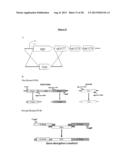 BIOLOGICAL PRODUCTION OF ORGANIC COMPOUNDS diagram and image