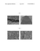 COMPOSITE MEDIUM FOR SIMULTANEOUS REMOVAL OF CATIONIC AND ANIONIC HEAVY     METALS AND METHOD FOR MANUFACTURING THE SAME diagram and image