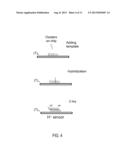 METHODS, COMPOSITIONS, SYSTEMS, APPARATUSES AND KITS FOR NUCLEIC ACID     AMPLIFICATION diagram and image