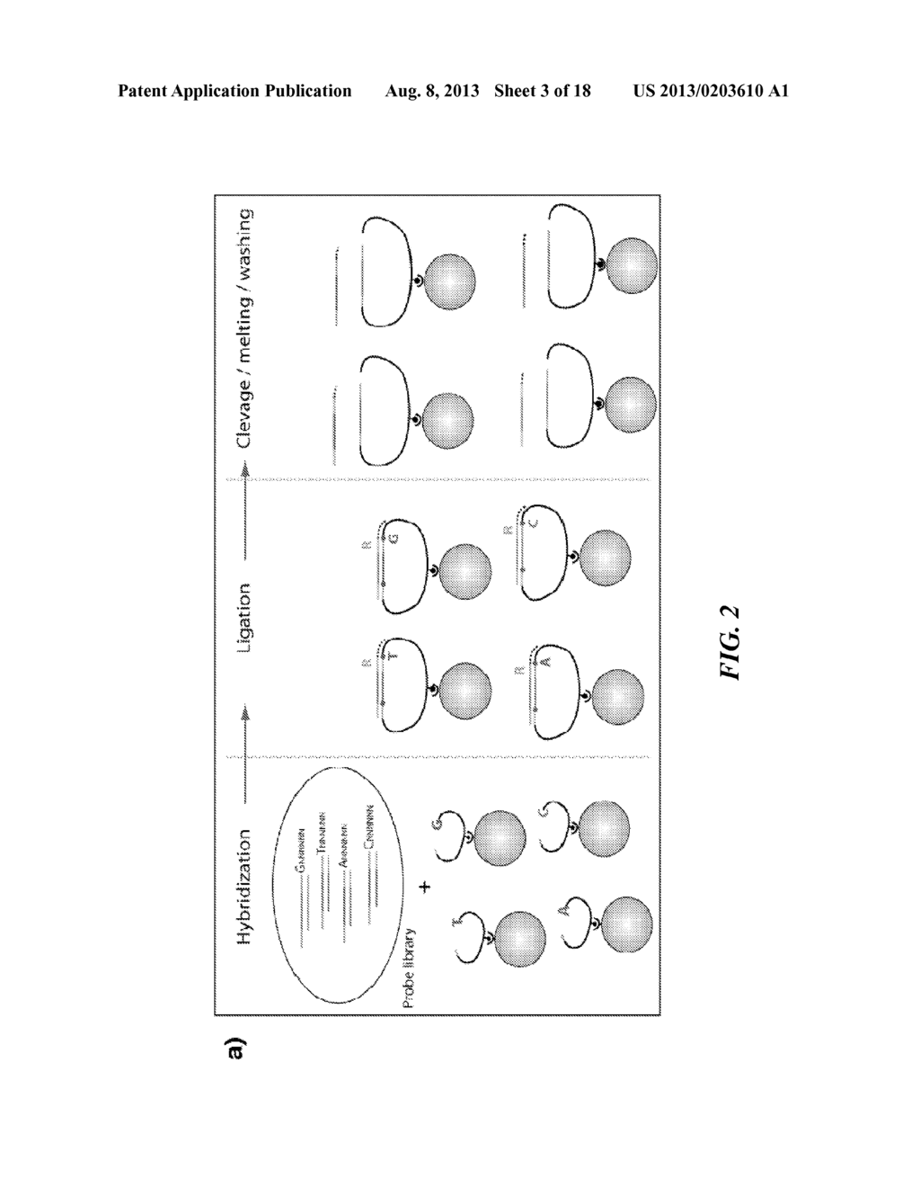 Tools and Method for Nanopores Unzipping-Dependent Nucleic Acid Sequencing - diagram, schematic, and image 04