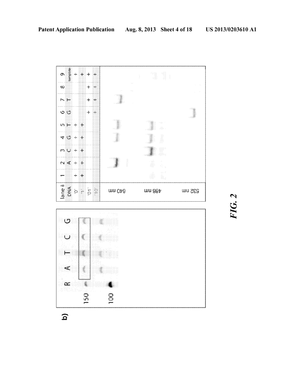 Tools and Method for Nanopores Unzipping-Dependent Nucleic Acid Sequencing - diagram, schematic, and image 05