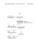 Glycoprotein Analysis Kit and Use Thereof diagram and image