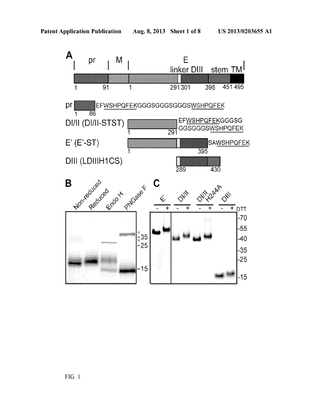 METHODS FOR PREVENTING OR TREATING VIRAL INFECTION - diagram, schematic, and image 02