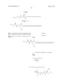 Novel Glucagon Like Peptide Analogs, Composition, and Method of Use diagram and image