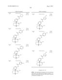 FUSED AMINODIHYDROTHIAZINE DERIVATIVES diagram and image