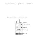 SUBSTITUTED PYRIDAZINE CARBOXAMIDE COMPOUNDS AS KINASE INHIBITOR COMPOUNDS diagram and image