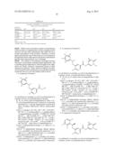 SUBSTITUTED PYRIDAZINE CARBOXAMIDE COMPOUNDS AS KINASE INHIBITOR COMPOUNDS diagram and image