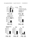 Targeting Metabolic Adaptive Responses to Chemotherapy diagram and image