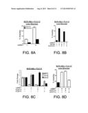 Targeting Metabolic Adaptive Responses to Chemotherapy diagram and image