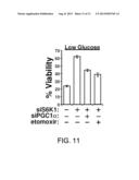 Targeting Metabolic Adaptive Responses to Chemotherapy diagram and image