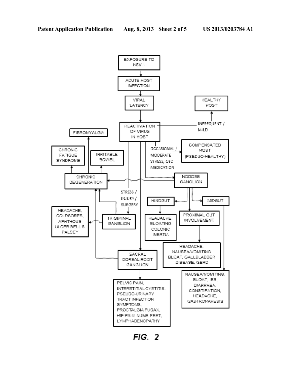 VALACICLOVIR AND DICLOFENAC COMBINATION THERAPY FOR FUNCTIONAL SOMATIC     SYNDROMES - diagram, schematic, and image 03