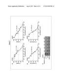 Novel Inhibitors of LYN Kinase and Methods Using Same diagram and image