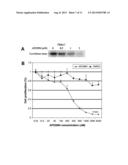 Novel Inhibitors of LYN Kinase and Methods Using Same diagram and image