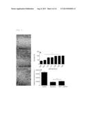 Compounds for Prevention of Cell Injury diagram and image