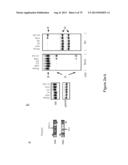 INHIBITORY RNAS TO RNA BINDING PROTEINS HNRNPA1, HNRNPA2 AND PTB AND USES     THEREOF diagram and image