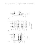 INHIBITORY RNAS TO RNA BINDING PROTEINS HNRNPA1, HNRNPA2 AND PTB AND USES     THEREOF diagram and image