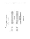 INHIBITORY RNAS TO RNA BINDING PROTEINS HNRNPA1, HNRNPA2 AND PTB AND USES     THEREOF diagram and image