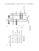 INHIBITORY RNAS TO RNA BINDING PROTEINS HNRNPA1, HNRNPA2 AND PTB AND USES     THEREOF diagram and image