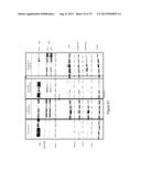 INHIBITORY RNAS TO RNA BINDING PROTEINS HNRNPA1, HNRNPA2 AND PTB AND USES     THEREOF diagram and image