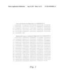 USE OF MEGANUCLEASES FOR INDUCING HOMOLOGOUS RECOMBINATION EX VIVO AND IN     TOTO IN VERTEBRATE SOMATIC TISSUES AND APPLICATION THEREOF diagram and image