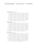 USE OF MEGANUCLEASES FOR INDUCING HOMOLOGOUS RECOMBINATION EX VIVO AND IN     TOTO IN VERTEBRATE SOMATIC TISSUES AND APPLICATION THEREOF diagram and image