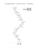 FERULOYL-CoA:MONOLIGNOL TRANSFERASE diagram and image