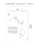 FERULOYL-CoA:MONOLIGNOL TRANSFERASE diagram and image