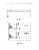 FERULOYL-CoA:MONOLIGNOL TRANSFERASE diagram and image