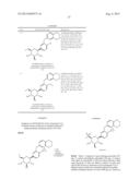 GLYCOSIDE DERIVATIVES AND USES THEREOF diagram and image