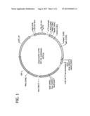 PROCESS OF PRODUCING PHOSPHINOTHRICIN EMPLOYING NITRILASES diagram and image