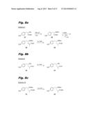 ANTIPROLIFERATIVE COMPOUNDS, CONJUGATES THEREOF, METHODS THEREFOR, AND     USES THEREOF diagram and image