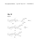 ANTIPROLIFERATIVE COMPOUNDS, CONJUGATES THEREOF, METHODS THEREFOR, AND     USES THEREOF diagram and image