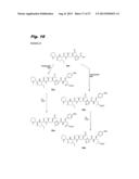 ANTIPROLIFERATIVE COMPOUNDS, CONJUGATES THEREOF, METHODS THEREFOR, AND     USES THEREOF diagram and image