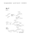 ANTIPROLIFERATIVE COMPOUNDS, CONJUGATES THEREOF, METHODS THEREFOR, AND     USES THEREOF diagram and image