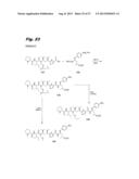 ANTIPROLIFERATIVE COMPOUNDS, CONJUGATES THEREOF, METHODS THEREFOR, AND     USES THEREOF diagram and image