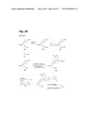 ANTIPROLIFERATIVE COMPOUNDS, CONJUGATES THEREOF, METHODS THEREFOR, AND     USES THEREOF diagram and image