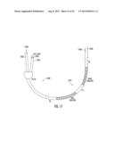 SYSTEM TO DIAGNOSE THE FUNCTION OF INTRINSIC SPHINCTERS diagram and image