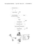 Hyper Adapter and Method for Accessing Documents in a Document Base diagram and image