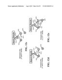 Apparatus and Method for Comparing and Statistically Adjusting Search     Engine Results diagram and image