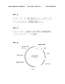 CHLOROPLAST TRANSIT PEPTIDE diagram and image