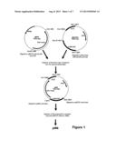 Method of Enhancing the Seed Yield and Promoting the Growth of Plants diagram and image