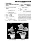 GGPS GENE FOR PROMOTIMG HIGHER GROWTH OR BIOMASS OF PLANT AND USE THEREOF diagram and image