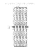 JOINING LOOP STRUCTURE OF INDUSTRIAL MULTILAYER FABRIC diagram and image