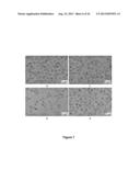 SYNTHESIS, CAPPING AND DISPERSION OF NANOCRYSTALS diagram and image