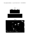 NEAR INFRARED FLUORESCENT PARTICLES AND USES THEREOF diagram and image