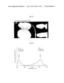 NEAR INFRARED FLUORESCENT PARTICLES AND USES THEREOF diagram and image